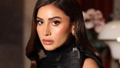 صورة دينا الشربيني تتألق وتخطف قلوب المشاهدين والنقاد بمسلسل اتنين غيرنا دراما رمضان