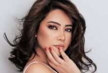 صورة الحضن شوك .. شيرين عبدالوهاب تتصدر التريند والمقدمة