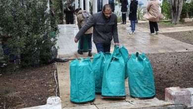 صورة أرشيف تونس السينمائي … في الحفظ