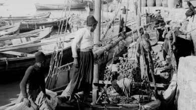 صورة من العراق وفلسطين والجزائر وتونس والمغرب ومصر ولبنان مهرجان البحر الأحمر السينمائي الدولي يكشف عن باقة من الأفلام المشاركة في برنامج” روائع عربية“ ضمن دورته الافتتاحية